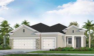 New construction Single-Family house 10103 Hammock Brook Dr, Parrish, FL 34219 - image