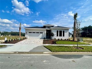 New construction Single-Family house 835 Southwest 145th Drive, Newberry, FL 32669 - photo