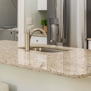 New construction  house 145 Indigo Grove Dr, Longs, SC 29568 plan COLUMBIA - image