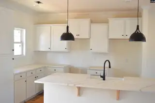 New construction Single-Family house 120 Locomotive (Lot 05) Ln, Irmo, SC 29063 - image