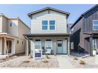 New construction Single-Family house 977 Trumpet Ln, Windsor, CO 80550 plan Magnolia - image