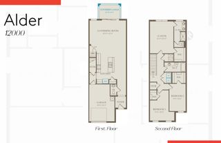New construction Single-Family house 1650 Lake Jessup Circle Cpe, Cape Coral, FL 33909 plan Alder - image