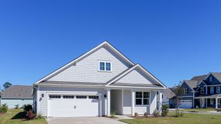 New construction Single-Family house 3228 Butterfly Ginger St, Leland, NC 28451 plan Litchfield - image