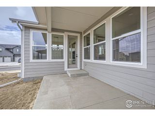 New construction Single-Family house 1685 Crystalline Dr, Windsor, CO 80550 plan Plan C505 - image
