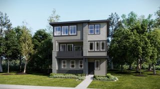 New construction Single-Family house 7467 Whiteclover Ln, Littleton, CO 80125 plan Morrison II - image