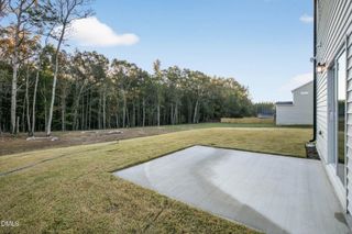 New construction Single-Family house 174 Eagle Rock Dr, Lillington, NC 27546 - image
