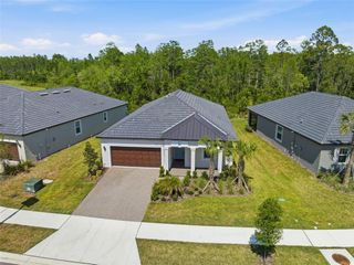 New construction Single-Family house 9776 Minnow Ray Dr, Land O' Lakes, FL 34638 plan Morningtide II - image