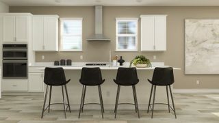 New construction Single-Family house 1594 Broward Dr, Zephyrhills, FL 33541 plan Preston - image