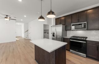 New construction Single-Family house 541 Madelines Meadow Ln, Georgetown, TX 78626 plan Enloe - image