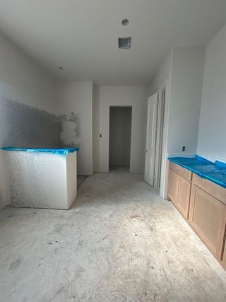 New construction Single-Family house 1005 Perrin Ln, Van Alstyne, TX 75495 - image