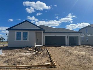 New construction  house 10179 Hidden Hammock Lp, Parrish, FL 34219 plan Plant - image