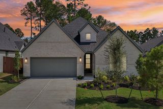 New construction Single-Family house 29752 Brushy Gables Dr, Magnolia, TX 77354 plan 4039 Elevation D - image