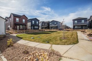 New construction house 943 Trumpet Ln, Windsor, CO 80550 plan Marigold - image