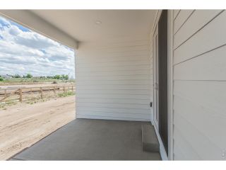 New construction Single-Family house 754 Trumpet Ct, Windsor, CO 80550 - image
