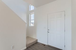 New construction Single-Family house 2020 Ballyneal Drive, Fort Collins, CO 80524 Antero- photo