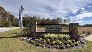 New construction  house 418 Mistflower Ln, Moncks Corner, SC 29461 plan EDMON - image