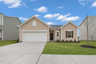 New construction Single-Family house 89 Blossom Field Wy, Angier, NC 27501 plan McHenry II - image