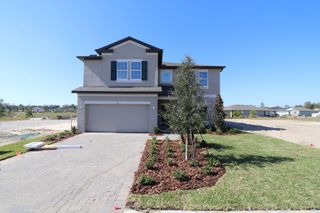 New construction Single-Family house Spring Hill, FL 34609 plan Alenza - image