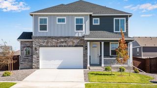 New construction  house 217 Sparrow Dr, Johnstown, CO 80534 plan BRIDGEPORT - image
