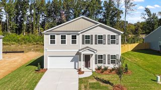 New construction Single-Family house 240 Buckthorn Dr, Youngsville, NC 27596 plan McDowell - image
