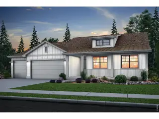 New construction Single-Family house 846 Loess Ln, Windsor, CO 80550 plan Sophia - image