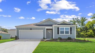 New construction Single-Family house 311 Royal Fern Ln, Statesboro, GA 30461 plan Lakeside - image