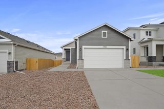 New construction Single-Family house 11844 Lost Peak Ln, Colorado Springs, CO 80925 plan Carnation - image