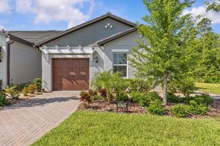 New construction Single-Family house 16793 Forge Surf St, Land O' Lakes, FL 34638 - photo