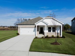 New construction Single-Family house 185 White Birch Lane, Unit 51, Angier, NC 27501 - photo