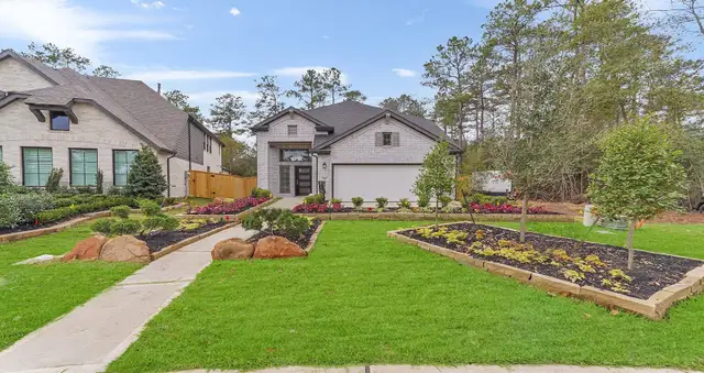 The Woodlands Hills image