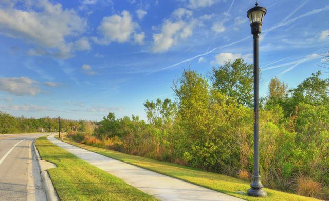 Persimmon Park image