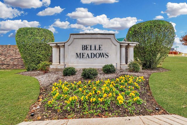 Belle Meadows image