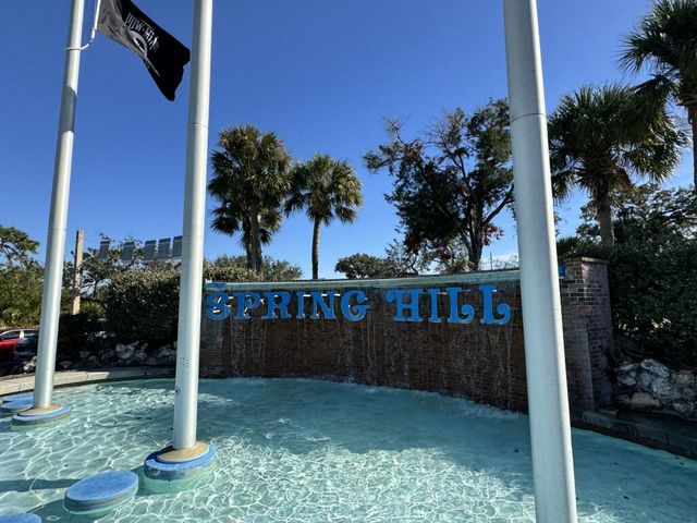 Spring Hill image