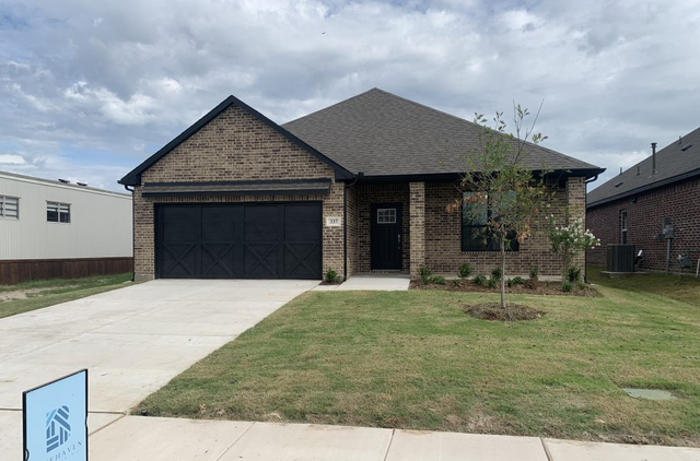 Lakepointe by BLUEHAVEN home in Lavon - photo