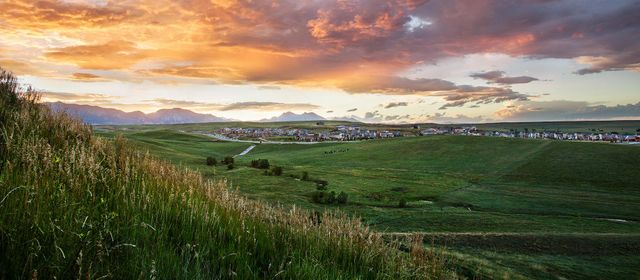 Candelas Townhomes by Tri Pointe Homes in Arvada - photo