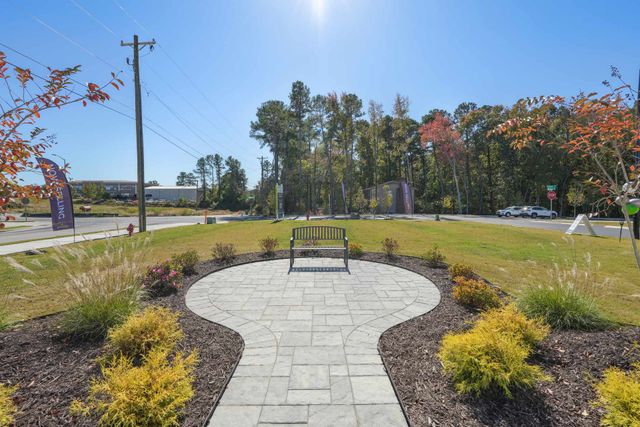 Twinleaf Townes image