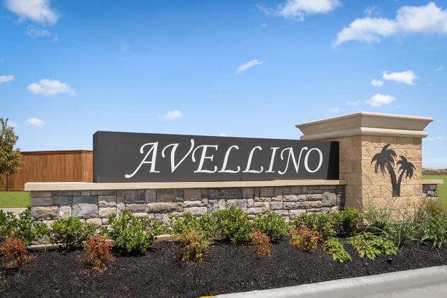 Avellino image