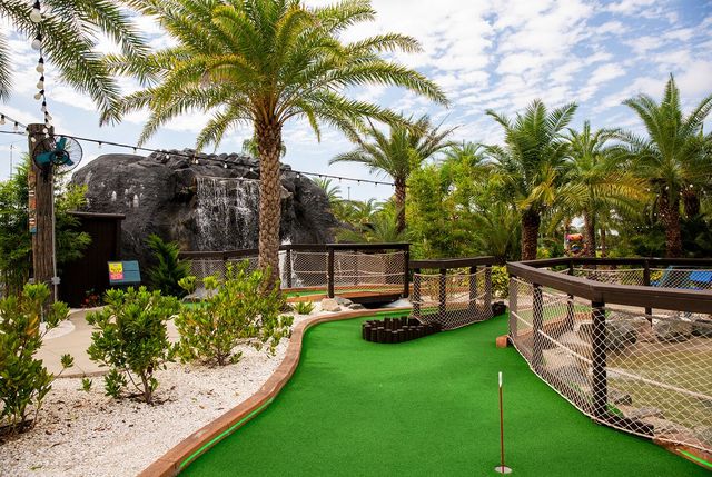 Twinflowers: The Manors image