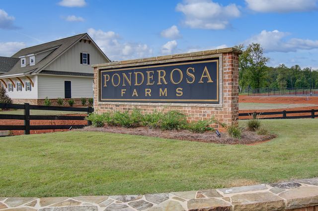 Ponderosa Farms by Chafin Communities in Gainesville - photo