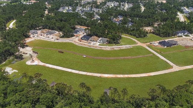The Woodlands Hills image