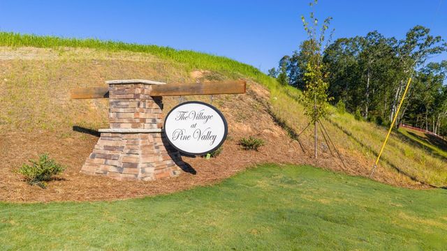 Village at Pine Valley image