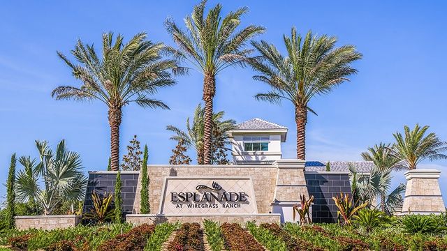 Esplanade at Wiregrass Ranch by Taylor Morrison in Wesley Chapel - photo