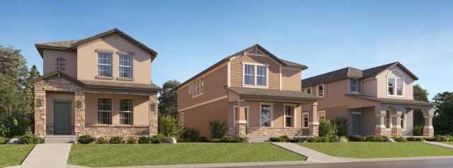 Longleaf: The Havens image