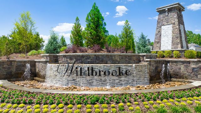 Wildbrooke by D.R. Horton in Acworth - photo