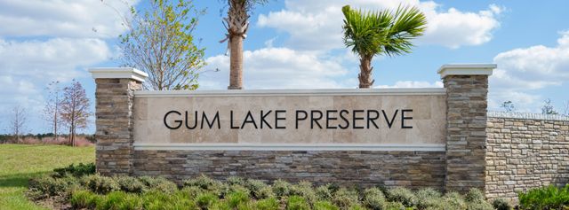 Gum Lake Preserve image