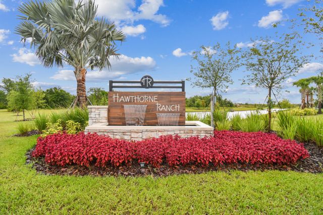 Hawthorne Ranch by M/I Homes in Lakeland - photo