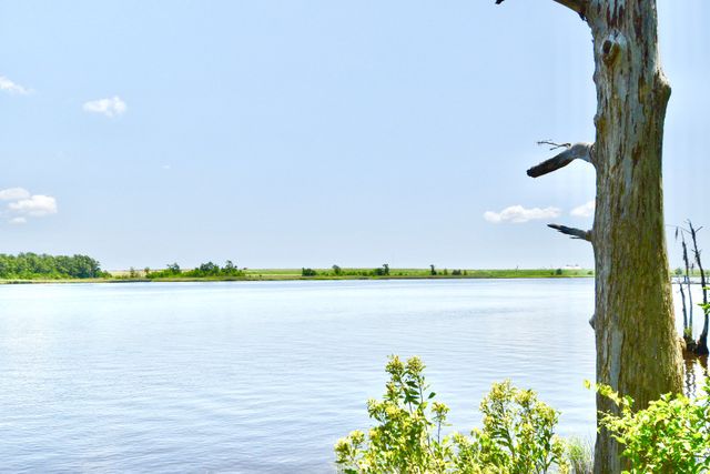 Brunswick Cove image
