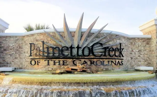 Palmetto Creek image