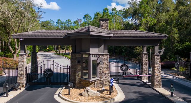 Juliette Falls by Adams Homes in Dunnellon - photo