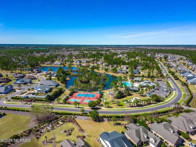 Palmetto Creek image